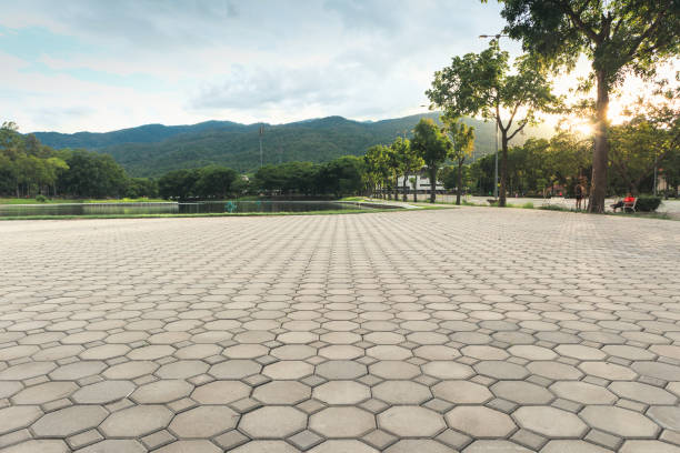 Best Driveway Pavers Near Me  in Crosby, MN
